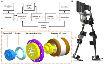 Safety and Feasibility of a Novel Exoskeleton for Locomotor Rehabilitation of Subjects With Spinal Cord Injury: A Prospective, Multi-Center, and Cross-Over Clinical Trial